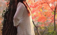 马智宇个人资料简介